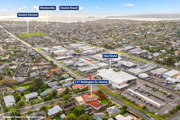 177 Wellington Street Howick_8