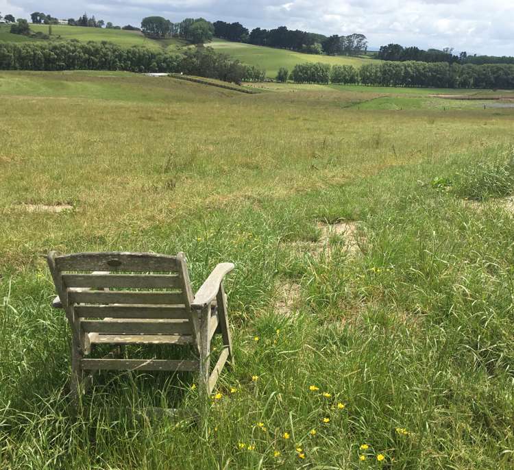 Vineyard Road Te Kauwhata_0