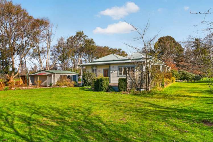 41 Millard Avenue Kuripuni_27