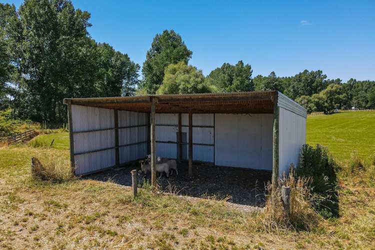 Woodbury Road Geraldine_5