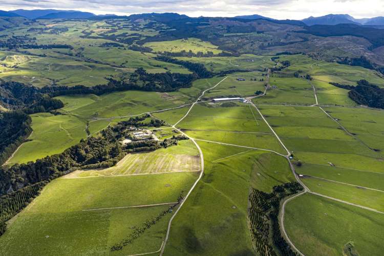 500 Willowford Road Waiwhare_14