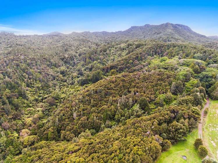 509a Old Maratoto Road Hikutaia_10