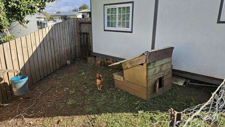 38 Guy Road Kaikohe_15