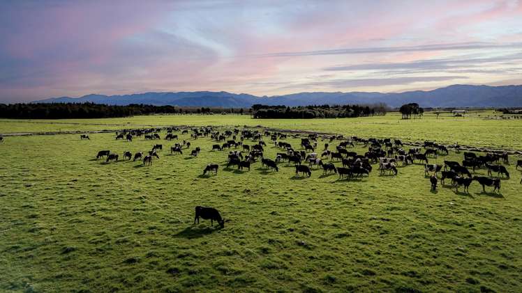 1807 Kahutara Road Kahutara_14