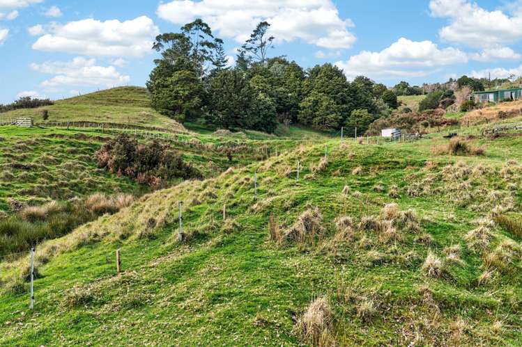 63 Porter Road Paparoa_39
