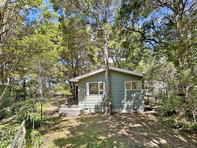 56 Totara Avenue Collingwood_18