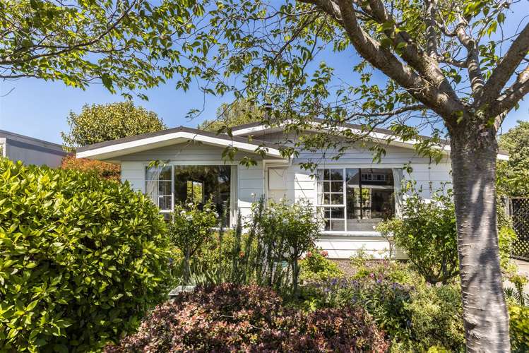 27 Ward Street Springlands_16