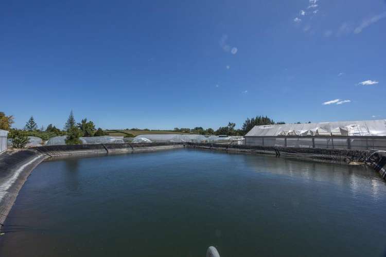 123 Jesmond Road Drury_18