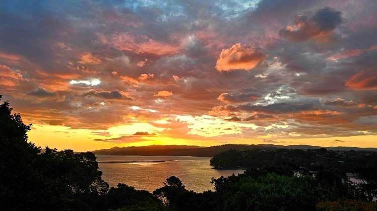 16 Mauretania Place Lynfield_17