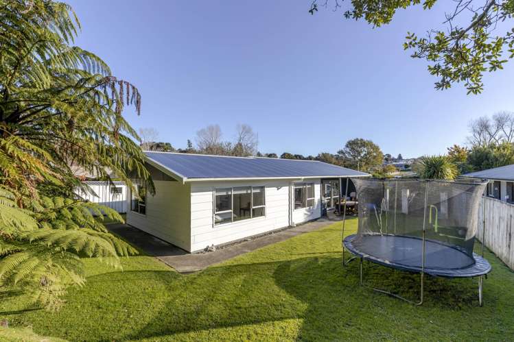 21 Heaphy Street Westown_10