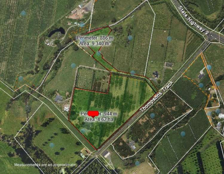 56 Thompsons Track Aongatete_22