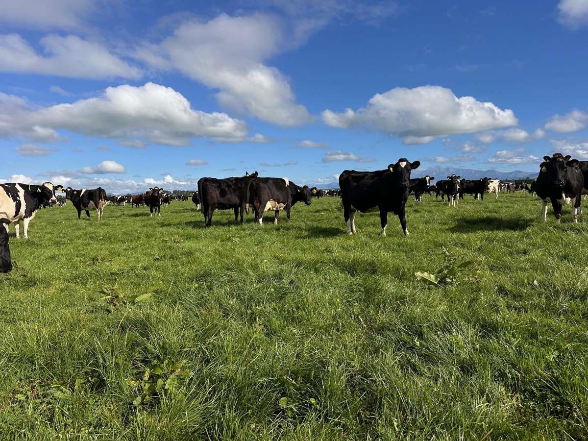 357 Woodstock Road_2