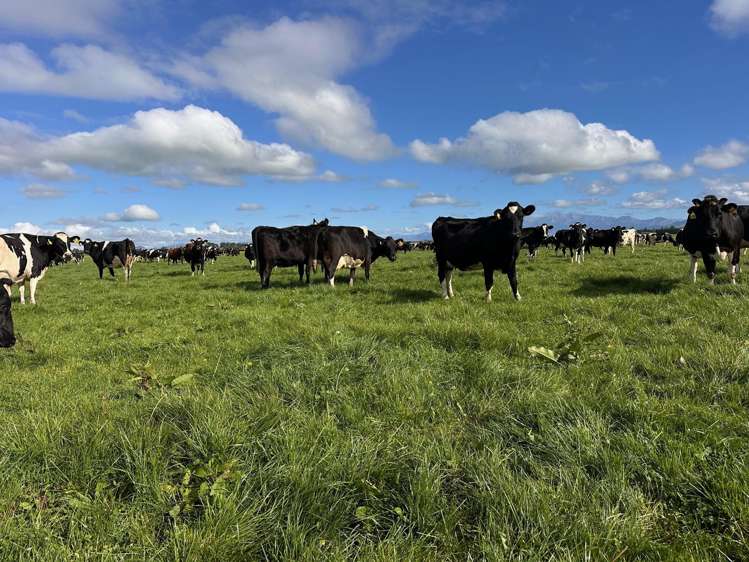 357 Woodstock Road Oxford_6