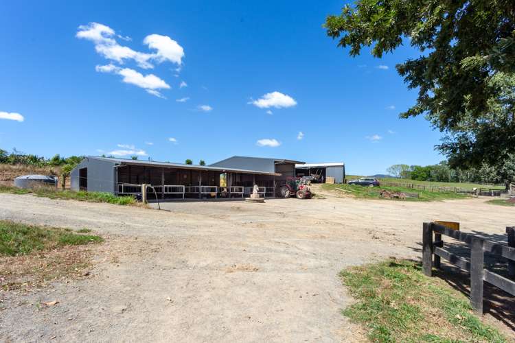 536 Morgan Road Richmond Downs_11