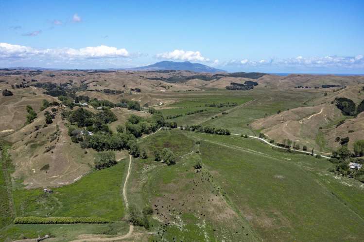 475 Te Akau South Road Te Akau_16