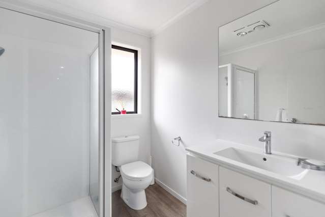 Unit 2/193 Massey Street Frankton_4