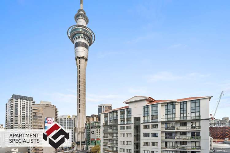 22 Nelson Street Mayfield_5