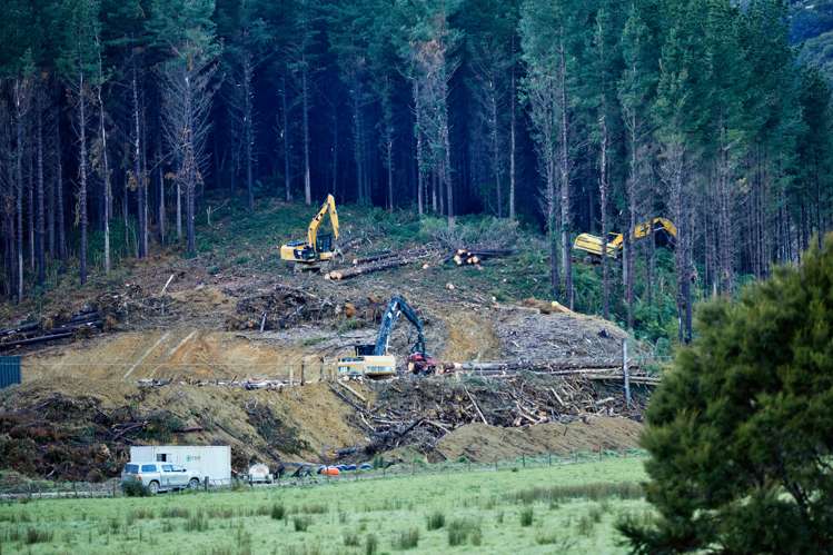 Crail Bay Kenepuru Sound_11