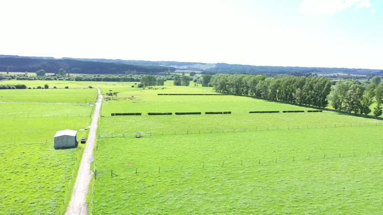 4980 Galatea Road Murupara Surrounds_21