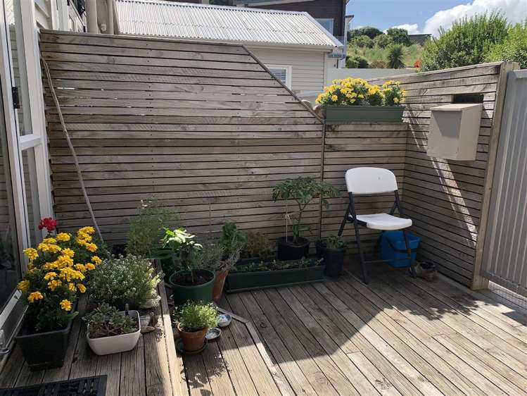 8/231 Marine Parade Seatoun_7