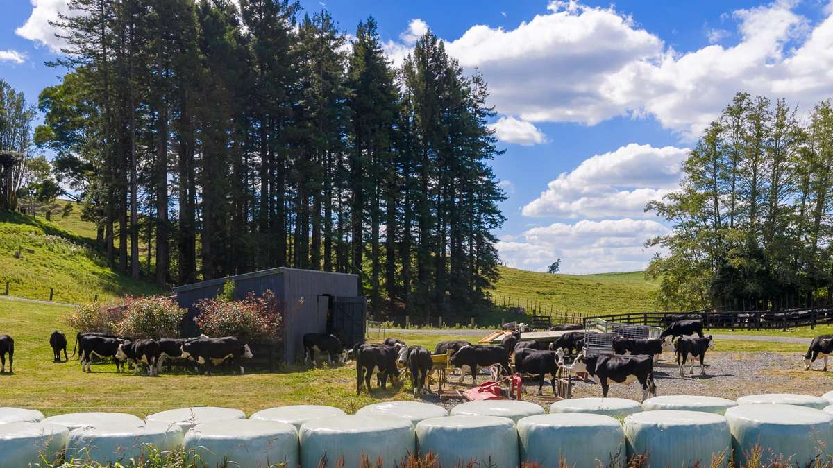 Lot 2/205 Oliver Road_2