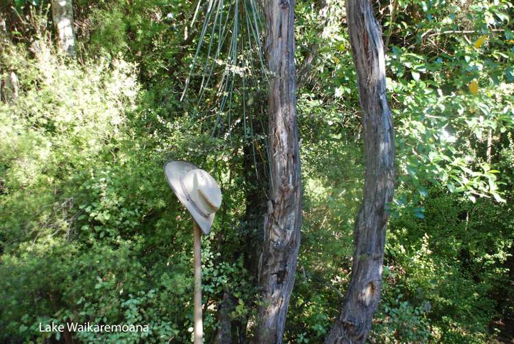 82 Onepoto Road Tuai/Ohuka_24