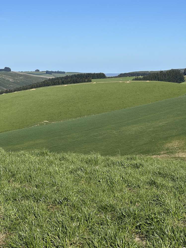 Hillend Road and Falla Burn Road Hillend_21