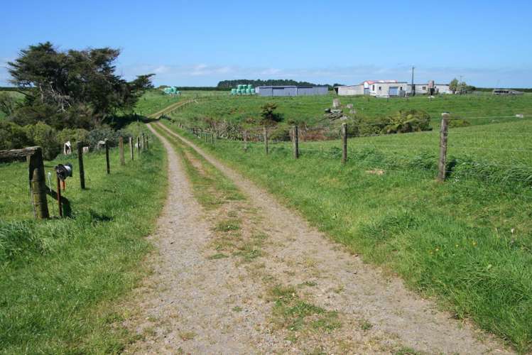 520 Lower Duthie Road Matapu_17