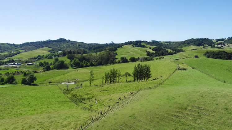 Monowai Road Wainui_10