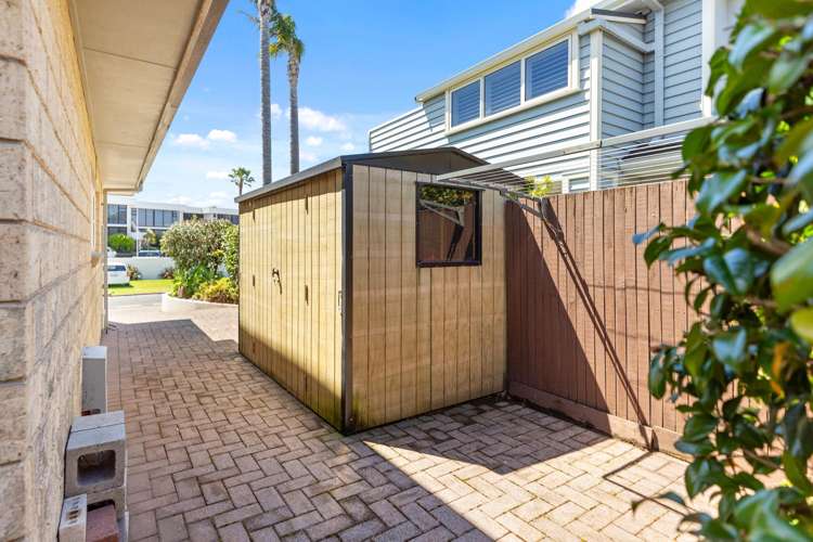 126 Muricata Avenue Mt Maunganui_17