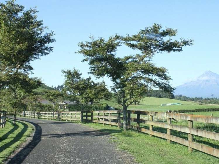 1355 Mountain Road Inglewood_20