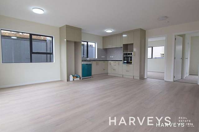 12 Pleasant Road Glen Eden_1