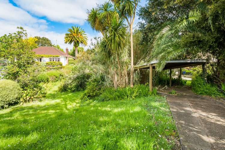 10 Handley Avenue Narrow Neck_17