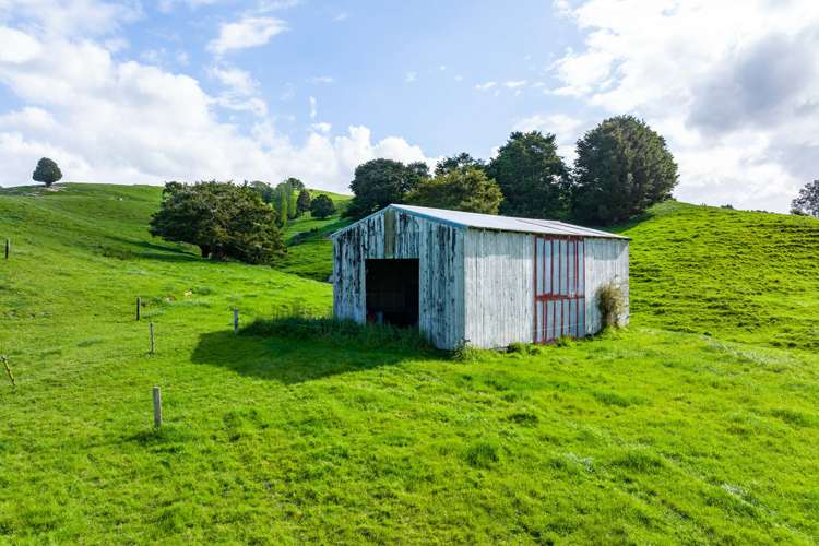 52 Gillon Road Matakohe_7