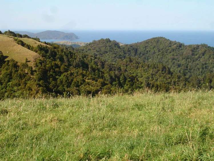 361 Kaiikanui Road Hukerenui and Surrounds_33
