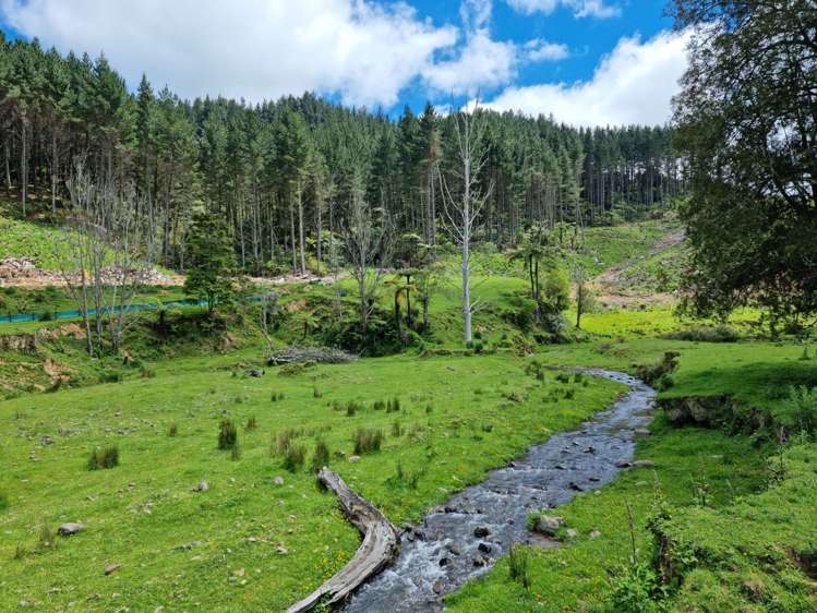 852 Mangawara Road Tahuna_7