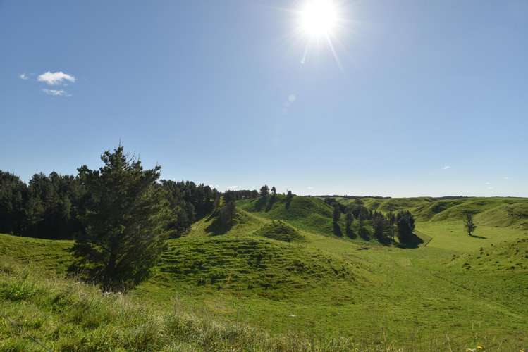 248 Lichenstein Road Okere Falls_20