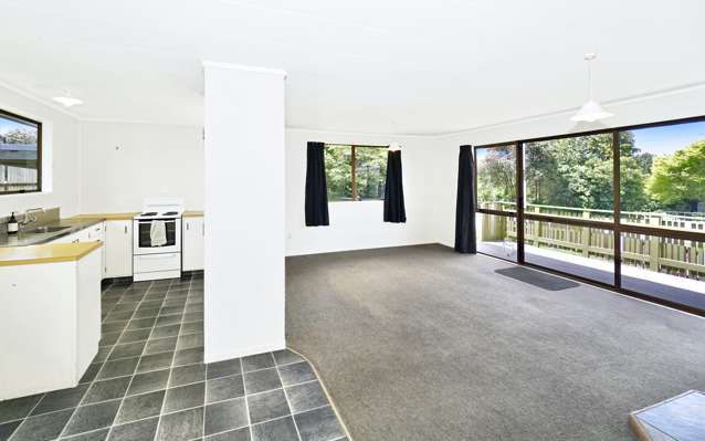 61 Dunlop Road Te Puke_4