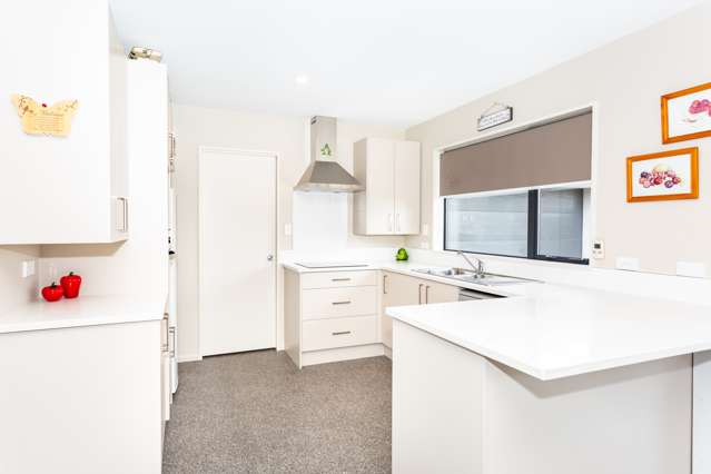 2 Cassini Place Leeston_1