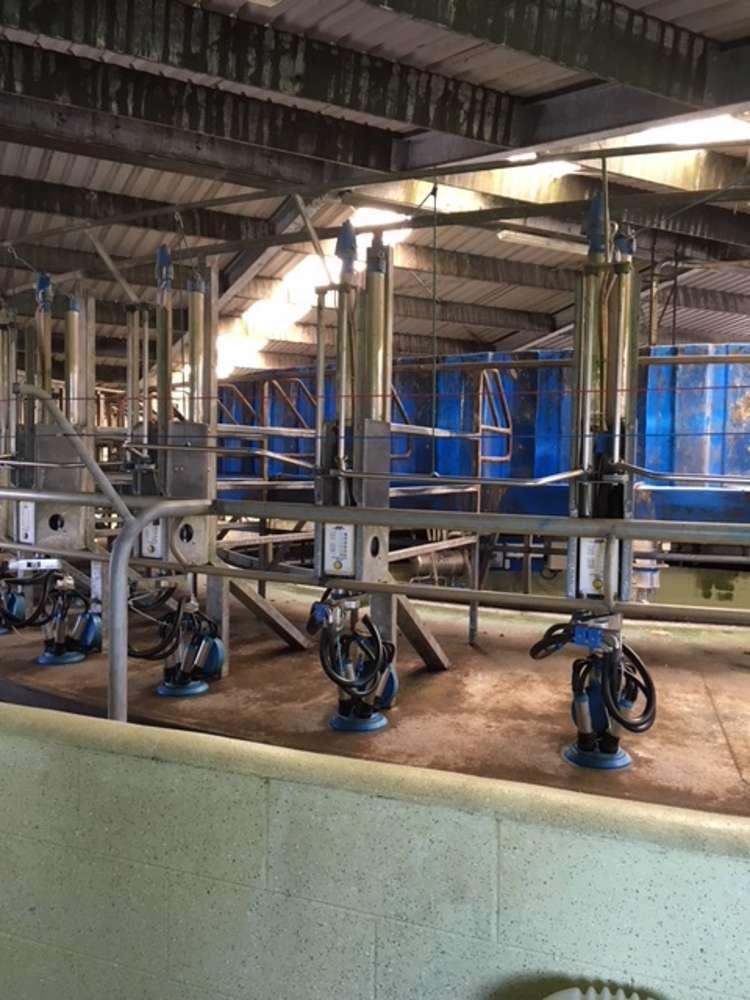 1703 Eltham Road Riverlea_15