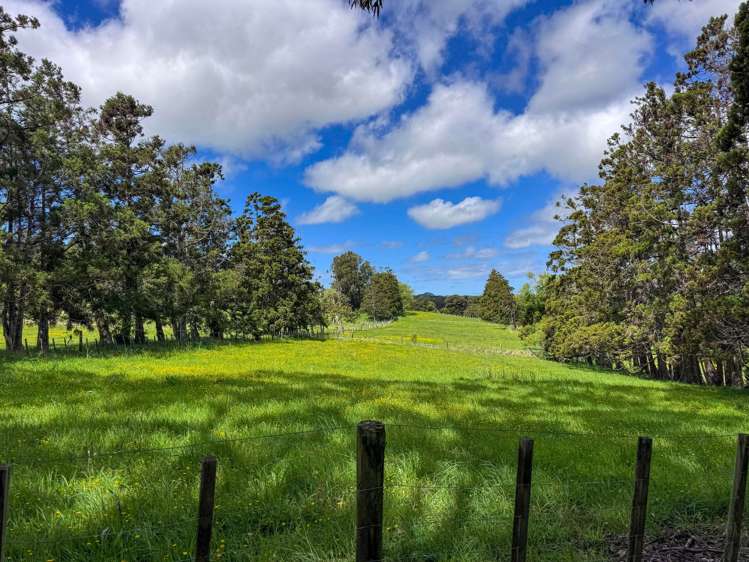 89 Hamilton Road Waimauku_25