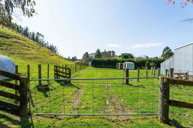 202 Whangamata Road Kinloch_29