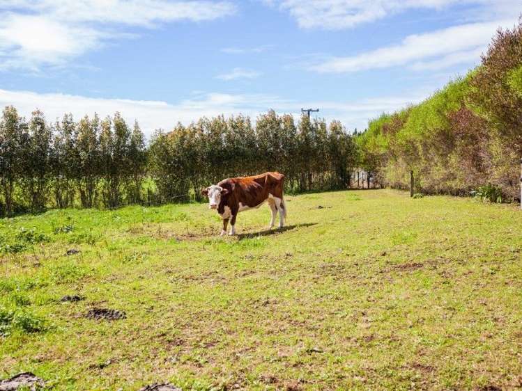 696 Carrington Road Hurworth_35