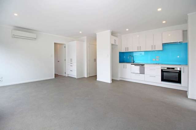 61A Queenstown Road Onehunga_2