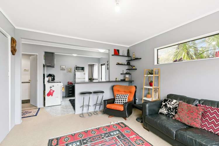 39 Nevay Road Miramar_17