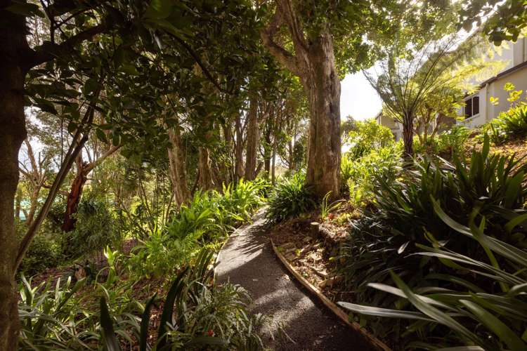 289 Pahoia Road Whakamarama_29