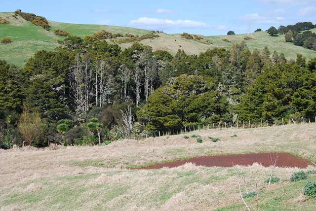 31 Lupis Way Kaiwaka_2