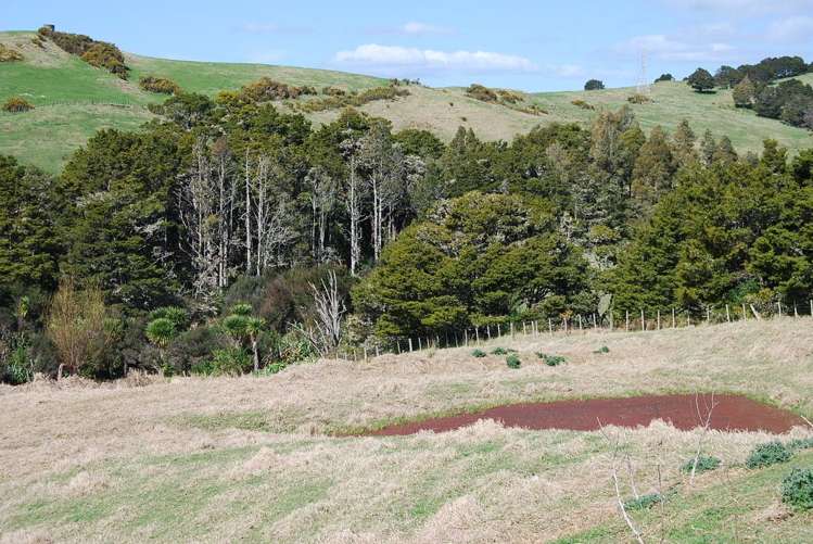 31 Lupis Way Kaiwaka_2