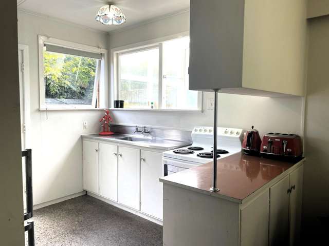 3A Duke Place New Plymouth_1