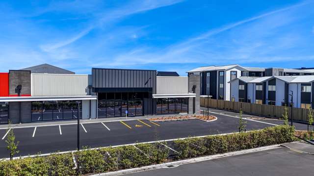 219 Moorhouse Avenue Sydenham_2